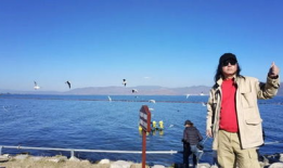 旅游视频,跟随视频镜头领略异国风情